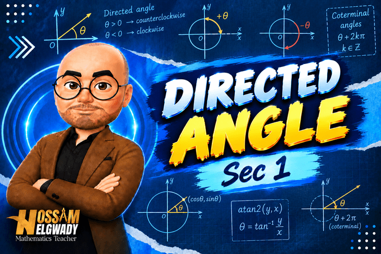Directed Angle